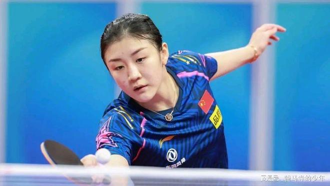 羽毛球最高 羽毛球最高