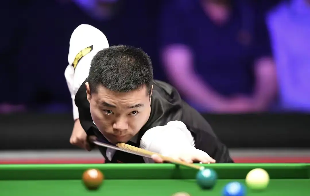 他们不仅是 他们不仅是