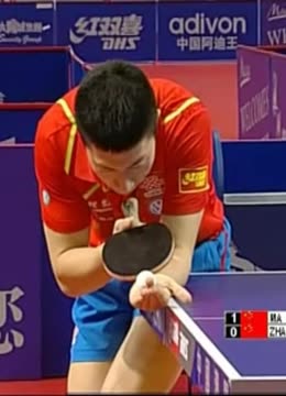 高桩模拟比 高桩模拟比